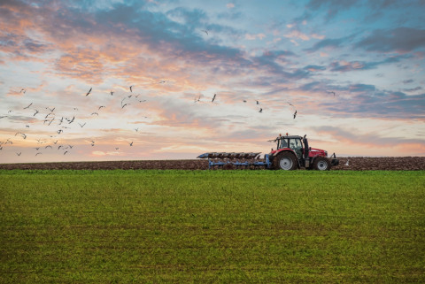 Tractor